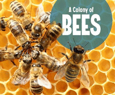 A Colony of Bees
