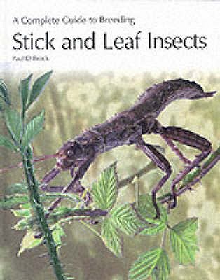 A Complete Guide to Breeding Stick and Leaf Insects - Brock, Paul D.