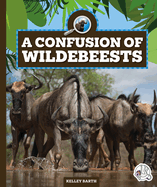 A Confusion of Wildebeests