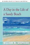 A Day in the Life of a Sandy Beach