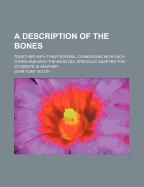 A Description of the Bones: Together with Their Several Connexions with Each Other, and with the Muscles; Specially Adapted for Students in Anatomy (Classic Reprint)