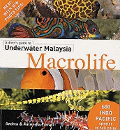 A Divers Guide to Underwater Malaysia Macrolife