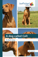 A dog called Colt