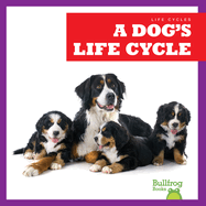 A Dog's Life Cycle