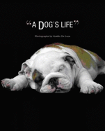 A Dog's Life! - de Luca, Araldo (Photographer)