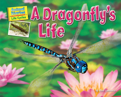 A Dragonfly's Life - Lawrence, Ellen