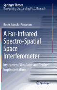 A Far-Infrared Spectro-Spatial Space Interferometer: Instrument Simulator and Testbed Implementation