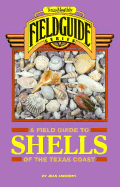 A Field Guide to Shells of the Texas Coast
