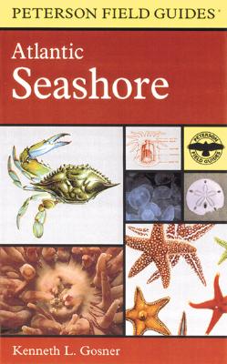 A Field Guide to the Atlantic Seashore: From the Bay of Fundy to Cape Hatteras - Peterson, Roger Tory (Editor)