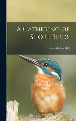 A Gathering of Shore Birds - Hall, Henry Marion 1877-