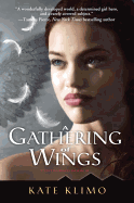 A Gathering of Wings