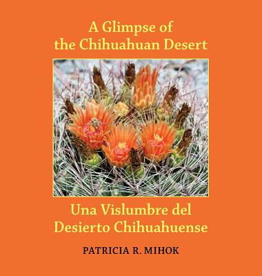 A Glimpse of the Chihuahuan Desert/Una Vislumbre del Desierto Chihuahuense - Mihok, Patricia R, and Steele, Caiti, and Yargosz, Donna (Translated by)