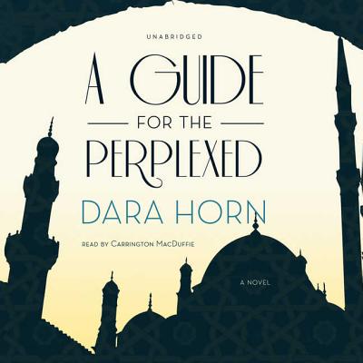 A Guide for the Perplexed - Horn, Dara, and MacDuffie, Carrington (Read by)