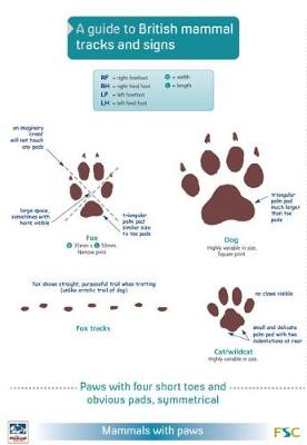 A Guide to British Mammal Tracks and Signs - 