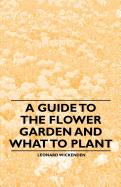 A Guide to the Flower Garden and What to Plant