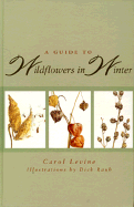A Guide to Wildflowers in Winter: Herbaceous Plants of Northeastern North America