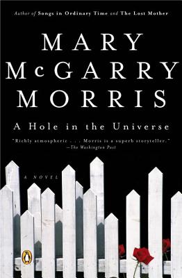 A Hole in the Universe - Morris, Mary McGarry