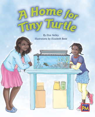 A Home for Tiny Turtle: Leveled Reader Orange Level 15 - Rg, Rg (Prepared for publication by)