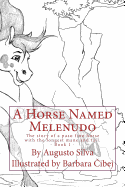 A Horse Named Melenudo: The story of a paso fino horse with the longest mane