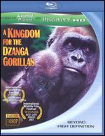 A Kingdom for the Dzanga Gorillas [Blu-ray]