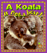 A Koala Is Not a Bear!