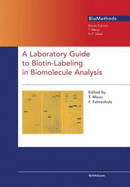 A Laboratory Guide to Biotin-Labelling in Biomolecule Analysis