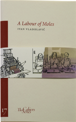 A Labour of Moles: Volume 17 - Vladislavic, Ivan
