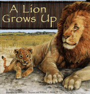 A Lion Grows Up