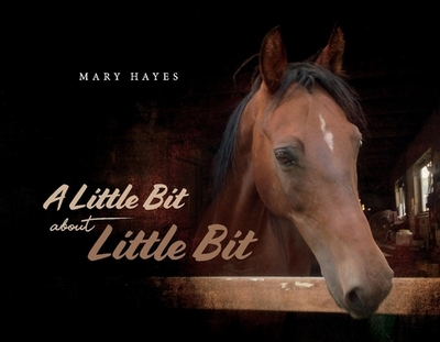 A Little Bit about Little Bit - Hayes, Mary