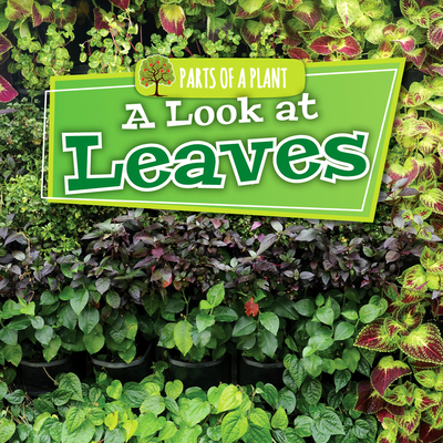 A Look at Leaves - Lowe, Lindsey