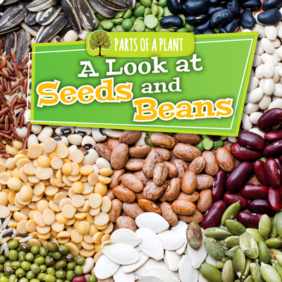 A Look at Seeds and Beans - Lowe, Lindsey