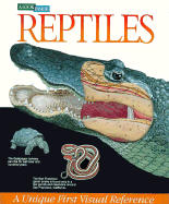 A Look Inside Reptiles