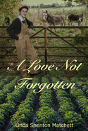 A Love Not Forgotten: A Second Chance Romance