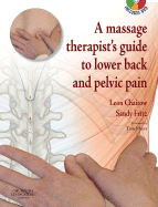 A Massage Therapists' Guide to Lower Back and Pelvic Pain