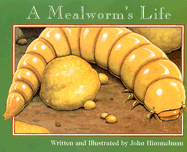 A Mealworm's Life