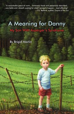 A Meaning for Danny - Marlin, Brigid