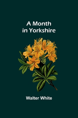 A Month in Yorkshire - White, Walter