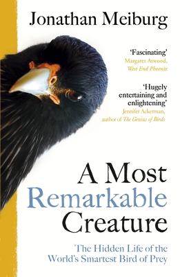 A Most Remarkable Creature: The Hidden Life of the World's Smartest Bird of Prey - Meiburg, Jonathan