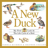 A New Duck