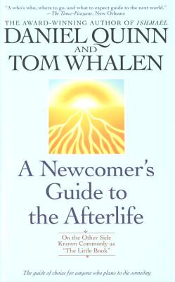 A Newcomer's Guide to the Afterlife: On the Other Side Known Commonly as "the Little Book" - Quinn, Daniel