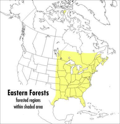 A Peterson Field Guide to Eastern Forests: North America - Kricher, John (Photographer)