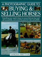 A Photographic Guide to Buying and Selling Horses