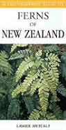 A Photographic Guide to Ferns of New Zealand