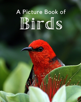 A Picture Book of Birds: A Beautiful Picture Book for Seniors With Alzheimer's or Dementia. A Perfect Gift For Bird Lovers! - A Bee's Life Press
