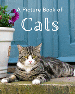 A Picture Book of Cats: A Beautiful Picture Book for Seniors With Alzheimer's or Dementia. A Wonderful Gift for Cat Lovers.