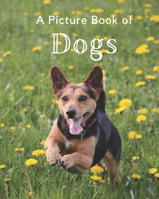 A Picture Book of Dogs: A Beautiful Picture Book for Seniors With Alzheimer's or Dementia. Makes a Great Gift For Dog Lovers! - A Bee's Life Press