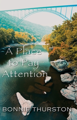 A Place to Pay Attention - Thurston, Bonnie
