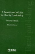 A Practitioner's Guide to Charity Fundraising - Cairns, Elizabeth