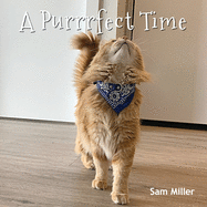 A Purrrfect Time