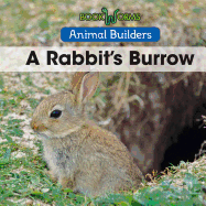 A Rabbit's Burrow